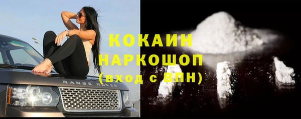 крисы Богородицк