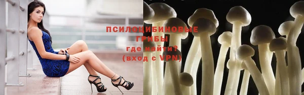 мет Богданович