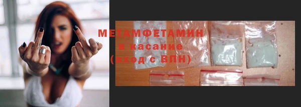 крисы Богородицк