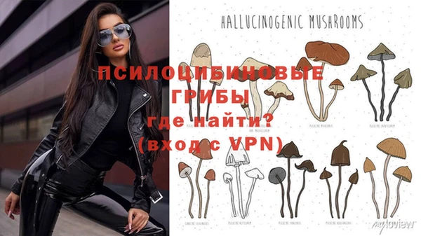 стафф Белоозёрский