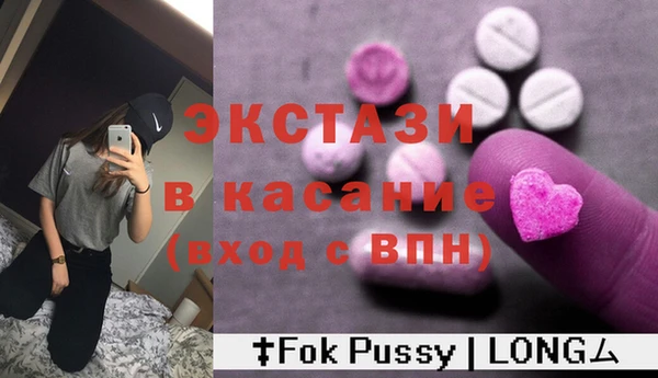 крисы Богородицк