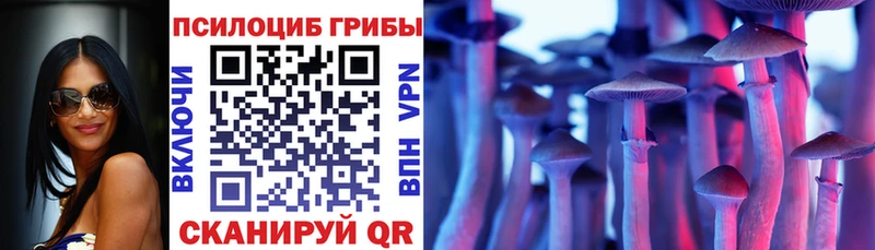 мега онион  Бирюсинск  Галлюциногенные грибы Magic Shrooms 